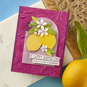Wykrojnik-spellbinders-la-dolce-vita-citrus-spritz_3.jpg