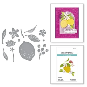Wykrojnik-spellbinders-la-dolce-vita-citrus-spritz.jpg