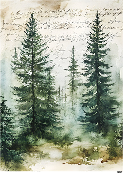 Papier-ryzowy-CN13797-A4.jpg