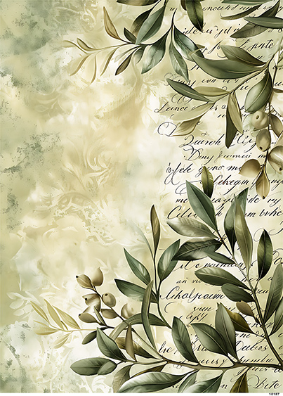 Papier-ryzowy-CN10187-A5.jpg