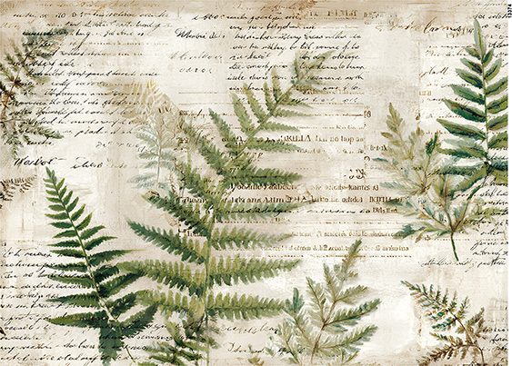 Papier-ryzowy-CN13374-A5.jpg