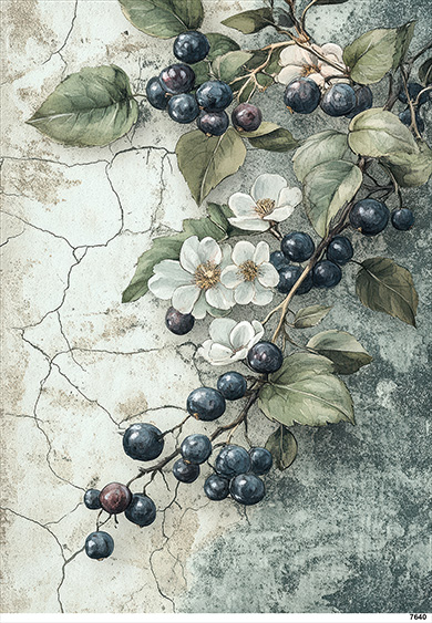 Papier-ryzowy-CN7640-A5.jpg