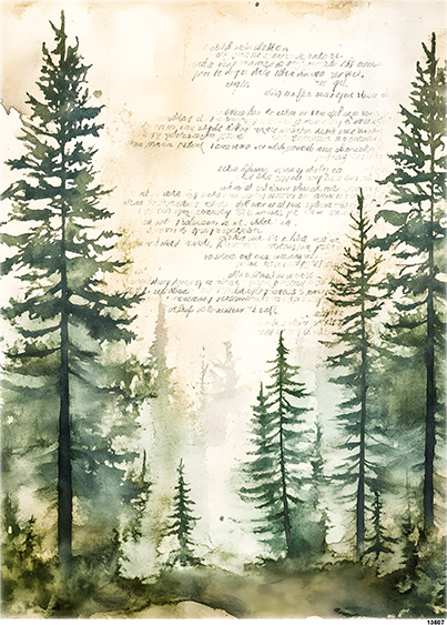 Papier-ryzowy-CN13807-A5.jpg