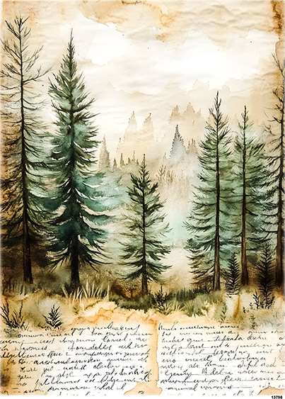 Papier-ryzowy-CN13798-A5.jpg
