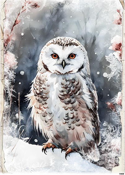 Papier-ryzowy-CN13636-A6.jpg