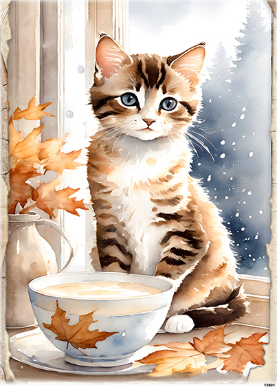Papier-ryzowy-CN13601-A6.jpg