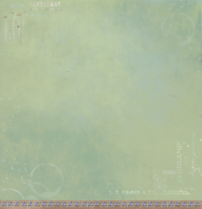 Papier-do-scrapbookingu-30x30-maybe-a-man-flatmate_2.png