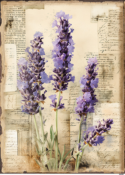 Papier-ryzowy-CN12151-A4.jpg