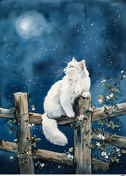 Papier-ryzowy-CN16474-A6.jpg