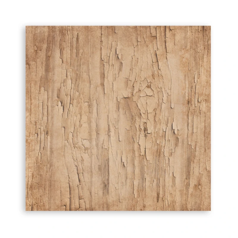SBBL181_8B.jpg