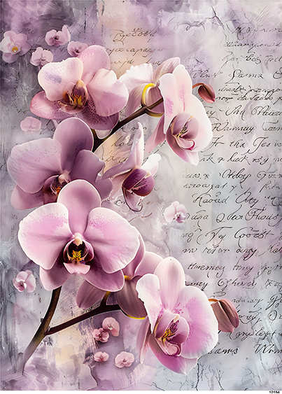 Papier-ryzowy-CN10194-A6.jpg