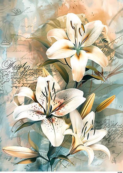 Papier-ryzowy-CN10195-A6.jpg