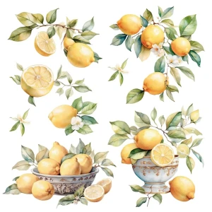 Transfer-papers-for-you-lemon-12x12-inch-decor-transfers_1.jpg