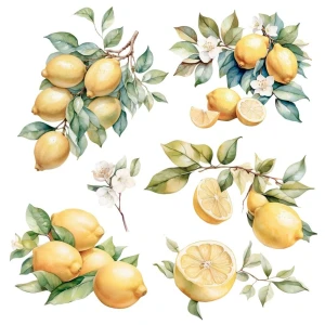 Transfer-papers-for-you-lemon-12x12-inch-decor-transfers_2.jpg