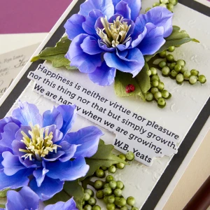 Wykrojnik-spellbinders-the-poets-garden-etched-dies-clematis-poet_2.jpg