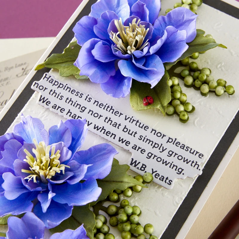 Wykrojnik-spellbinders-the-poets-garden-etched-dies-clematis-poet_2.jpg