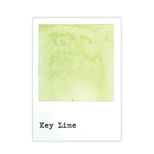 Tusz-ranger-49-market-dye-ink-pad-key-lime_1.jpg