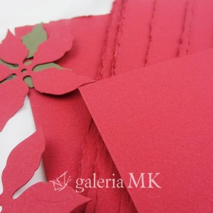 papier-czerwony-cotton-300g-30x30_3.JPG