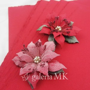 papier-czerwony-cotton-300g-30x30_2.jpg