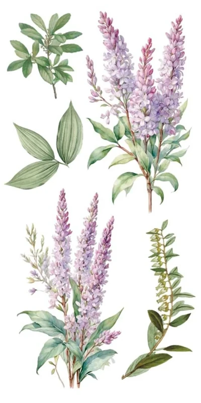 Transfer-papers-for-you-lilacs-6x12-inch_3.jpg