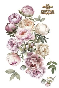 Transfer-papers-for-you-peonies-24x35-inch_1.jpg