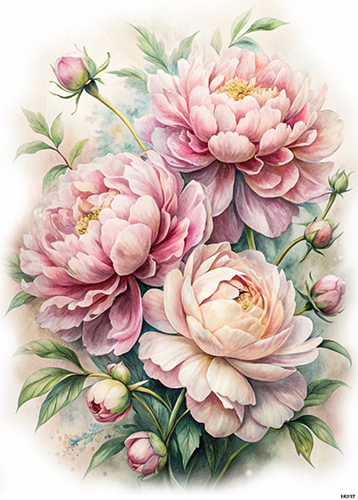 Papier-ryzowy-CN18237-A5.jpg