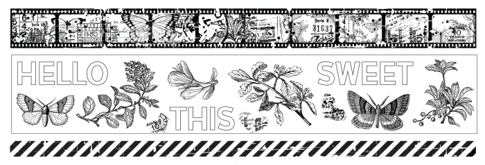 Zestaw-tasm-washi-arden-creative-studio-field-notes-pet-set-3pcs.jpg