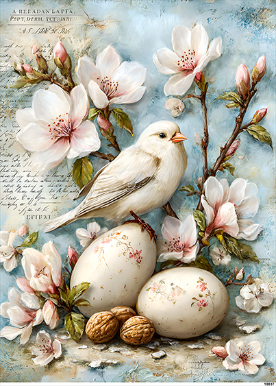 Papier-ryzowy-CN18837-A5.jpg