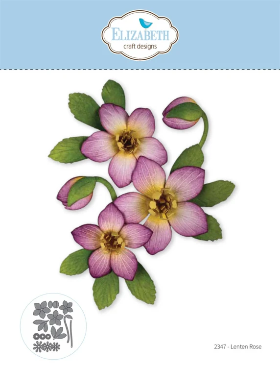 Wykrojnik-elizabeth-craft-designs-beautiful-blooms-die-lenten-rose.jpg