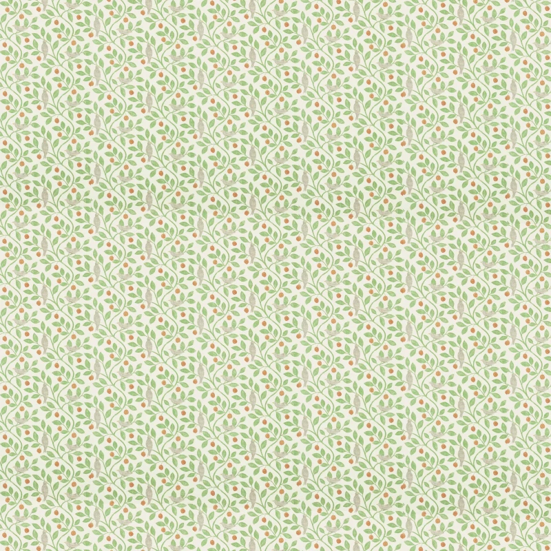 Zestaw-papierów-do-scrapbookingu-20x20-Typographic-Ciao Bella-CBH095.jpg