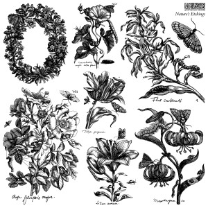 IOD-STA-NAT Nature_s Etchings stamp artwork-01.jpg