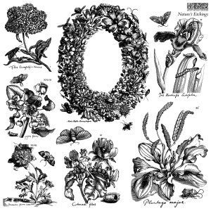 IOD-STA-NAT Nature_s Etchings stamp artwork-02.jpg