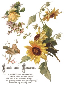 IOD-TRA-FBP Flowers by the Poets artwork page 1 small.jpg