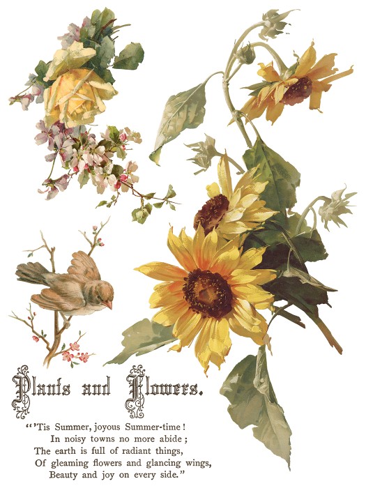 IOD-TRA-FBP Flowers by the Poets-1.jpg