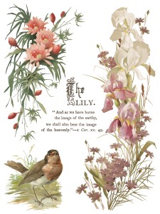 IOD-TRA-FBP Flowers by the Poets artwork page 3 small.jpg