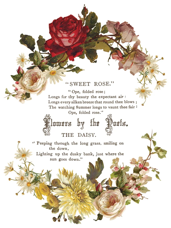 IOD-TRA-FBP Flowers by the Poets artwork page 5 small.jpg