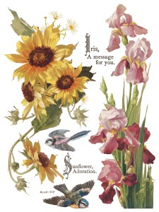 IOD-TRA-FBP Flowers by the Poets artwork page 6 small.jpg