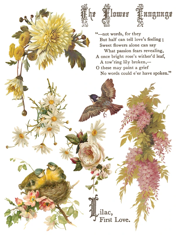 IOD-TRA-FBP Flowers by the Poets artwork page 8 small.jpg