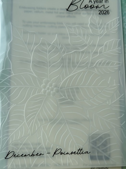 Folder do embossingu 5x7-December - Poinsetta-3D Embossing Folder.jpg