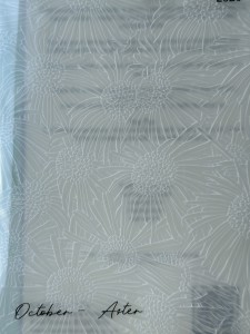 Folder do embossingu 5x7 "October - Aster" 3D Embossing Folder.jpg