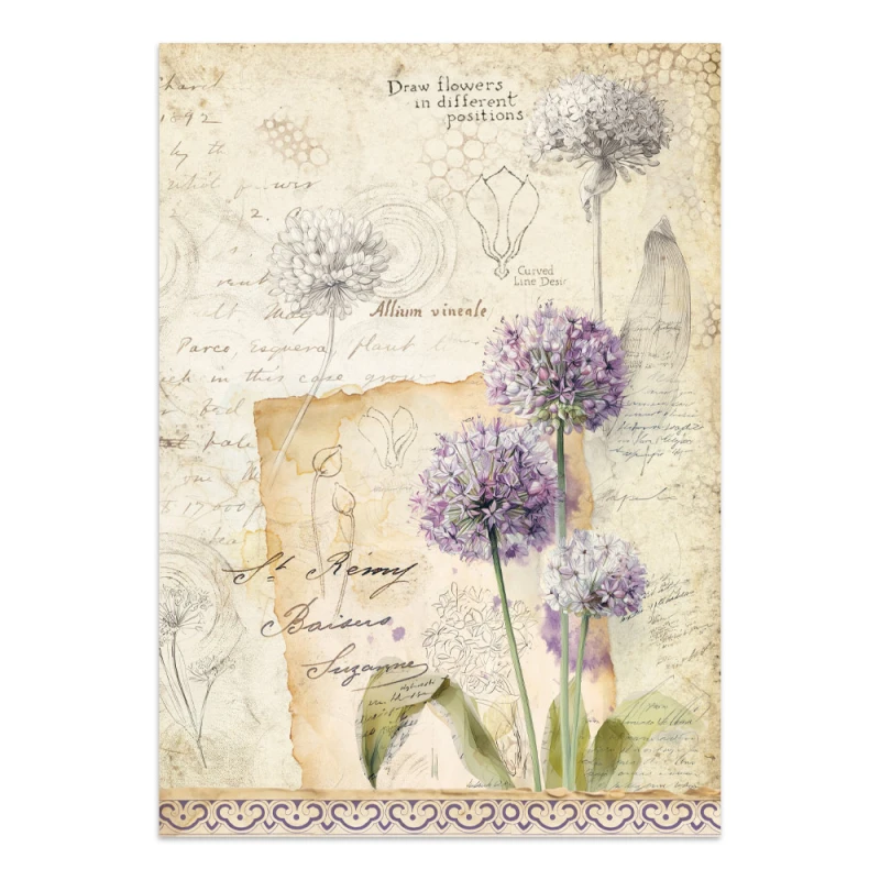 SBJK20_2A.jpg
