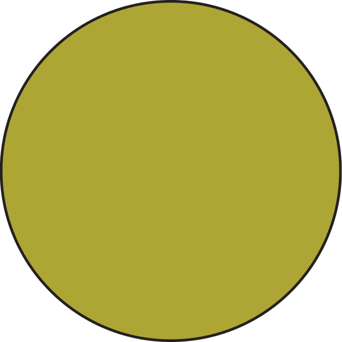 Farba-akrylowa-ranger-tim-holtz-distress-paint-flip-top-crushed-olive_1.jpg