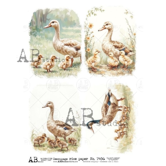 papier-decoupage-ryzowy-a4-id-7456.jpg