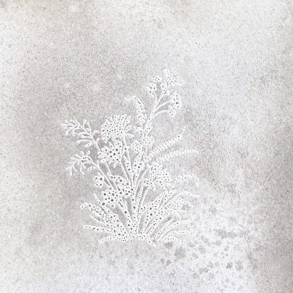 Mgielka-glitz-016_brushed_nickel-.jpg