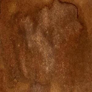 Mgielka-lindys-bandolier_brown_1.jpg