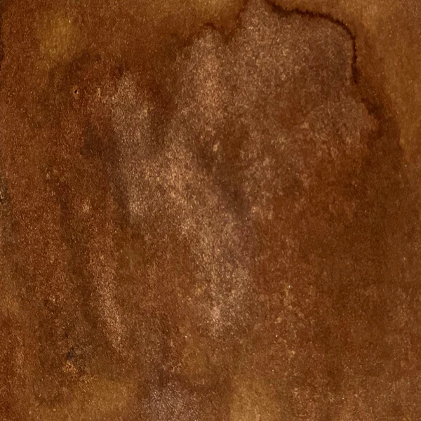 Mgielka-lindys-bandolier_brown_1.jpg