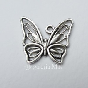 33-crop_www.JPG