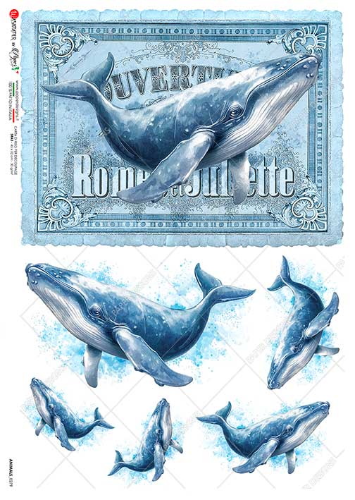 Papier-ryzowy-animals-0279-animals-rice-paper-for-decoupage.jpg