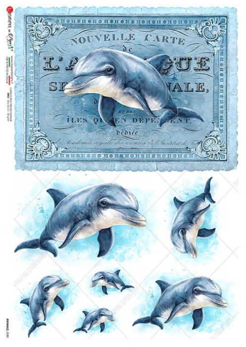 Papier-ryzowy-animals-0280-animals-rice-paper-for-decoupage.jpg