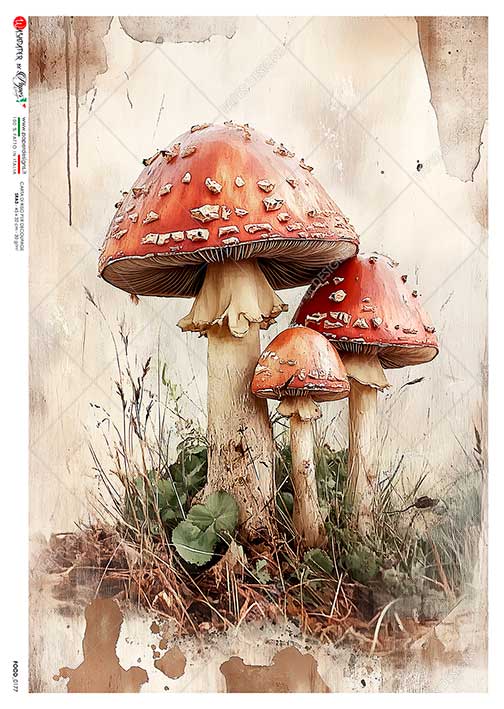 Papier-ryzowy-food-0177-rice-paper-for-decoupage.jpg